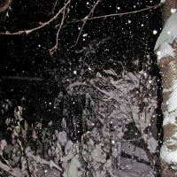 такого снегопада давно не знали здешние места... :: Александр Корчемный