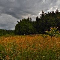 Пейзаж :: Валентина Пирогова