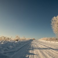 зимняя дорога :: Павел 