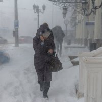 Зима в Южной Пальмире :: Сергей Волков