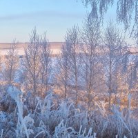 Нежность зимы :: Serz Stepanov