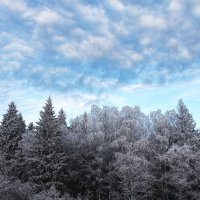 Зима :: Николай Юшников