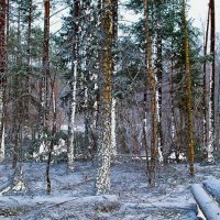 Зимний лес II :: Георгий Столяров