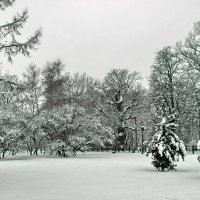 Парк зимой :: Leonid 