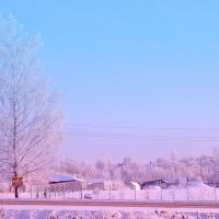 Зима :: Juliya Fokina