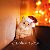 С Новым Годом! :: Ксения Бутенко