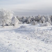 Зима в Крыму :: Елена 