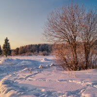 Зимнее утро :: Наталья Гжельская