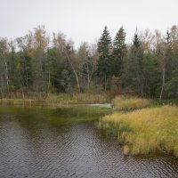 озеро Слокас :: juljawka 