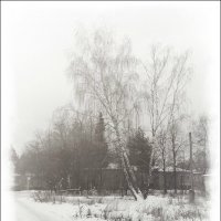 Зима 2015. :: Виталий Виницкий