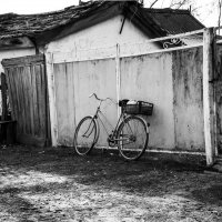 домик в деревне... :: Алена Ковалева