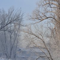 Горно-Алтайск,р.Майма,морозным утром. :: Сергей Ленкин