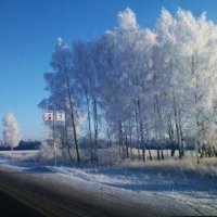 По дороге в зиму.. :: Валентина Пирогова