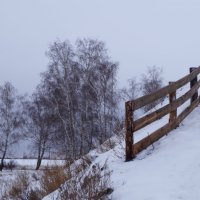 Звенел мороз, березки робко снега ждали! :: Серж Поветкин