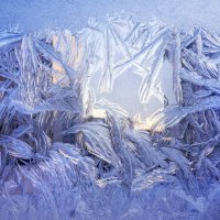 Рисует узоры мороз на оконном стекле :: Алексей Окунеев