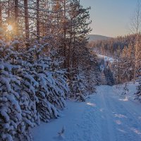 Зимняя дорога :: vladimir Bormotov