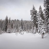 Зима в Горной Шории :: Павел Сухоребриков