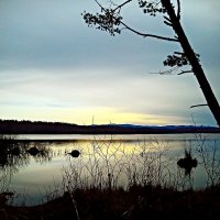 Закат на озере :: оксана савина