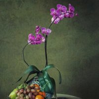 Из серии с орхидеями :: Ирина Приходько