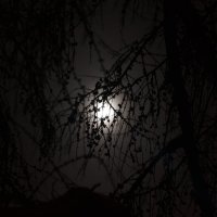 Луна :: Александр Жуков