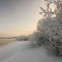 Морозный день :: Валентин Котляров