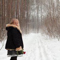 Роза на снегу (15) :: Алексей Волков
