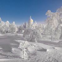 Зимний сад :: Владимир Чуприков