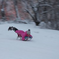 Эх, прокачусь! :: Юрий Гайворонский