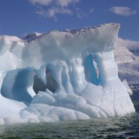 Причудливые айсберги :: Геннадий Мельников