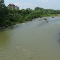 Река  Быстрица  Солотвинская  в  Ивано - Франковске :: Андрей  Васильевич Коляскин