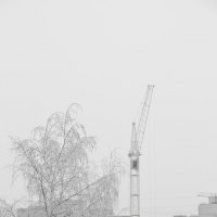 В тумане :: Надежда Чернышева