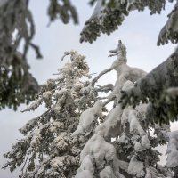 Чёрная Скала :: Анатолий 