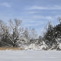 В снегах :: Алексей Колотушкин