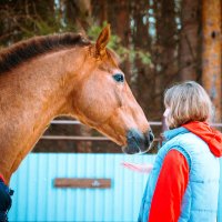 Доверие - неотъемлемая часть отношений человека и лошади :: Анна Раневская