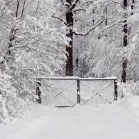 Ворота в зиму :: Liliya Kharlamova