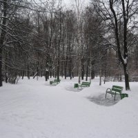 В зимнем парке :: Джулия К.