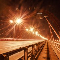 Живописный мост :: Андрей Баськов