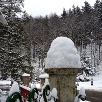 Первый снег :: 2сello Olga