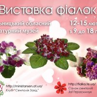 12-15 лютого 2015 р виставка фіалок в Хмельницькому :: Зоя 