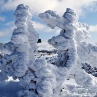 Снежные чудовища :: Александр Рейтер