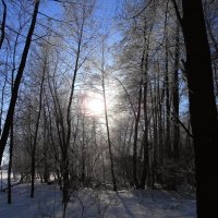 мороз и солнце :: Владимир Суязов