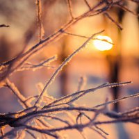Along the winter sun :: Лия Чурина