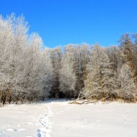 мороз и солнце :: Владимир Суязов