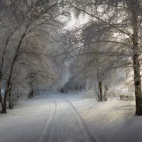 Зима. :: Виктор Гришенков