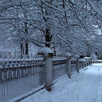 Зима :: Сергей Черник