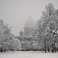 Туманный день. :: Владимир 