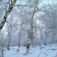 Сибирская зима :: alemigun 