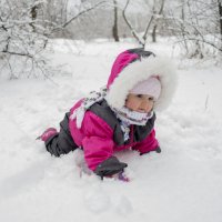 Снег!!! :: Sergey Анциферов