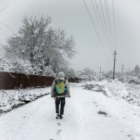 Снег выпал :: Александр Волков