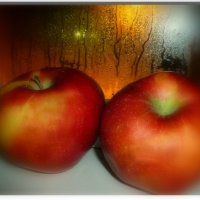 О яблоках .... :: galina tihonova